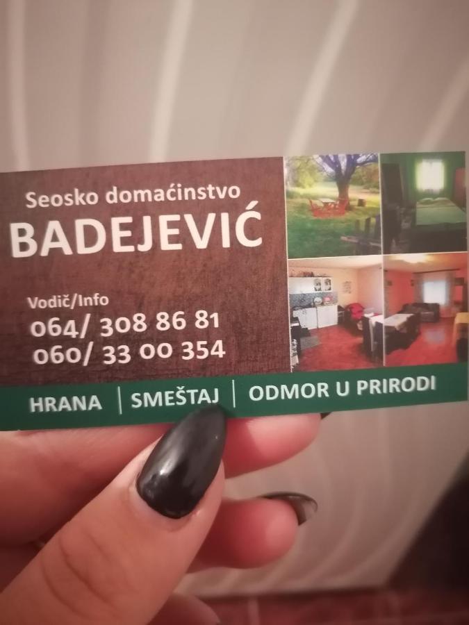 Etno Kuca Badejevic Villa Plavna Exterior photo